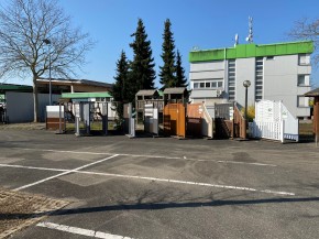 traumgarten Sichtschutz